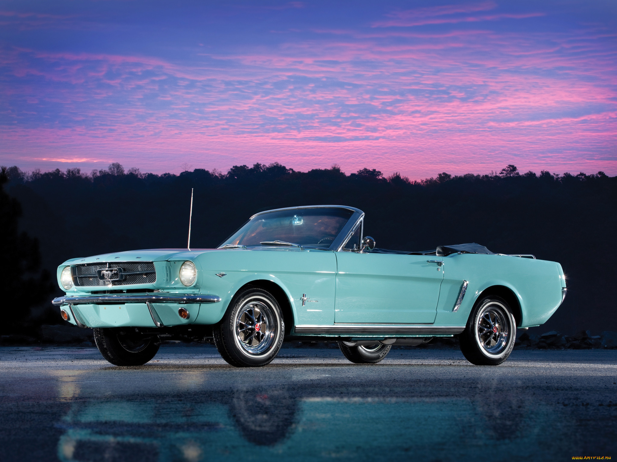 , mustang